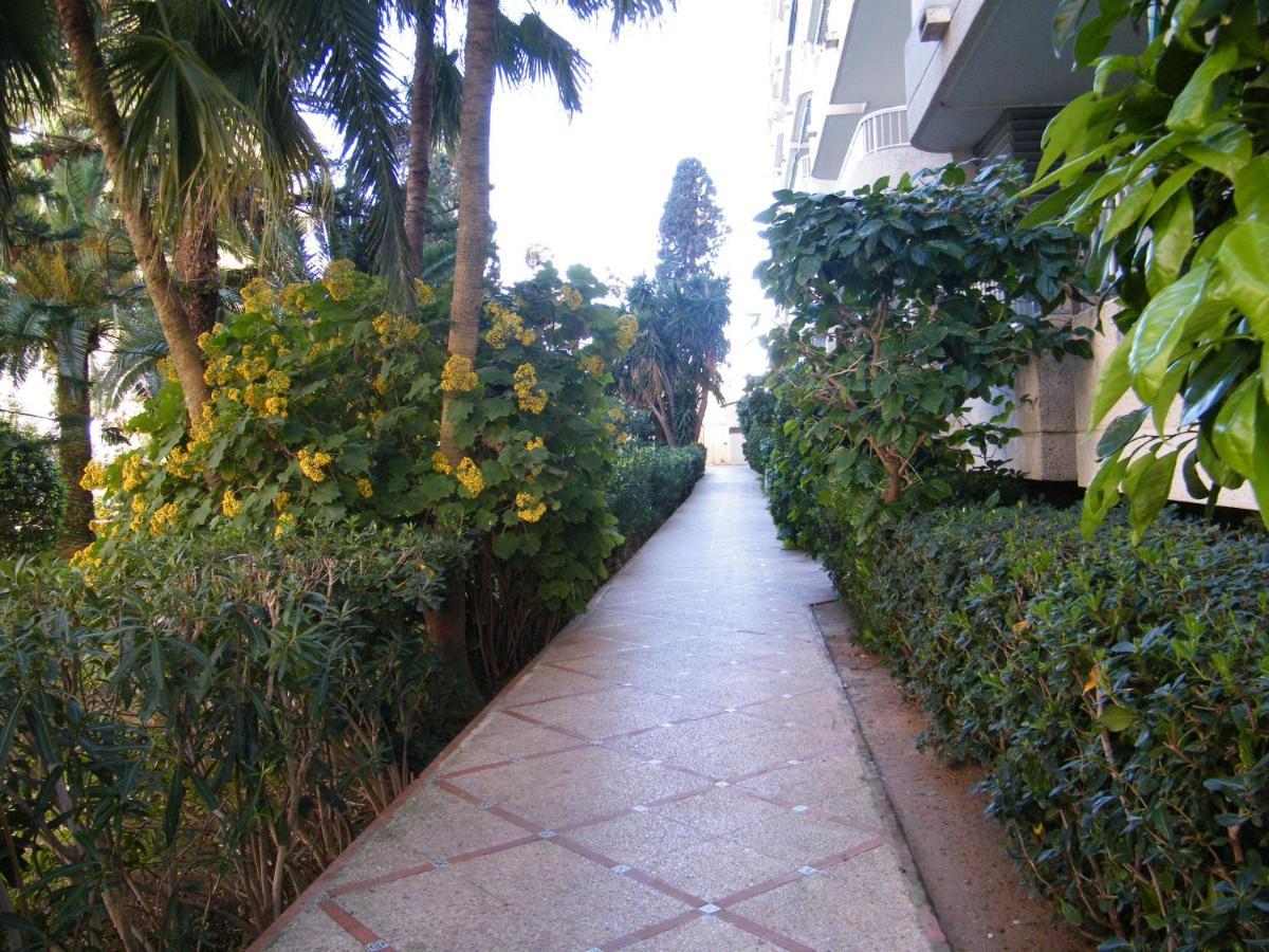 Apartamento Parque Ii, Mnostrum Playa De Gandia Exclusivo Familias ภายนอก รูปภาพ